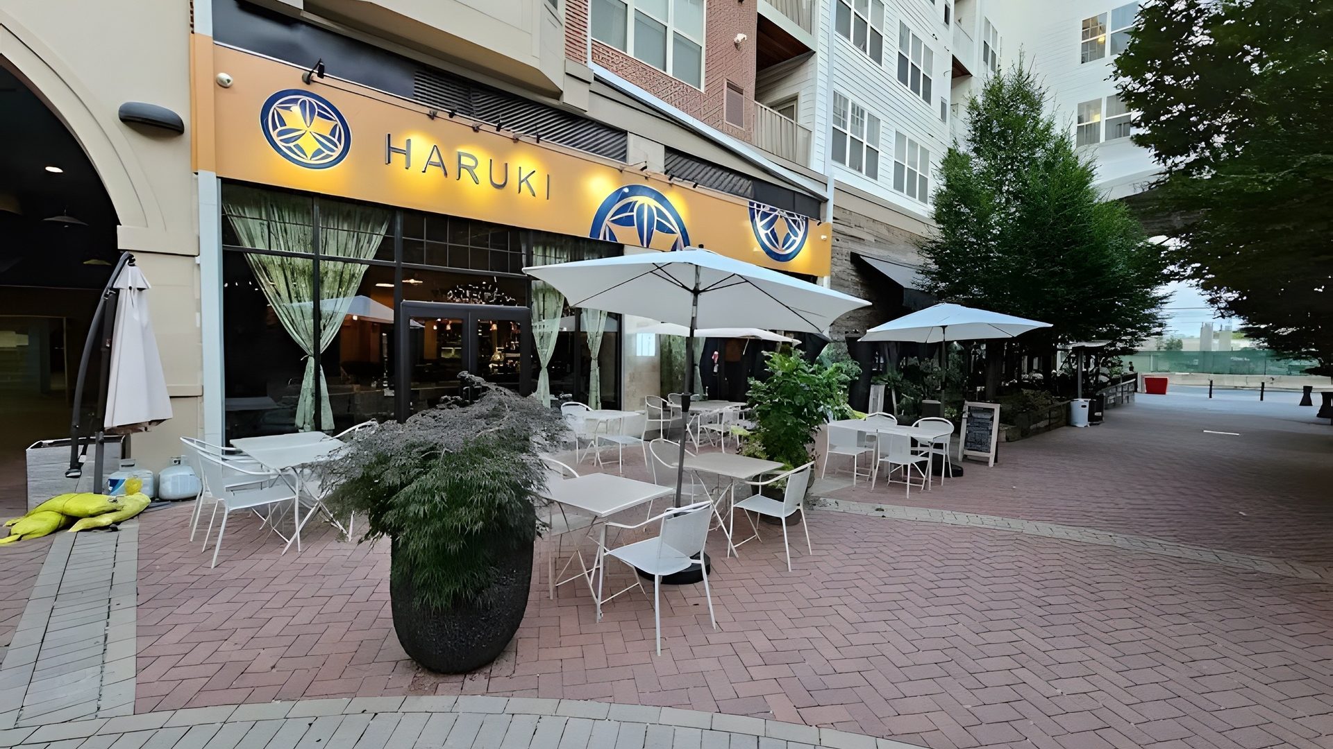 Welcome to Haruki Ramen & Izakaya
