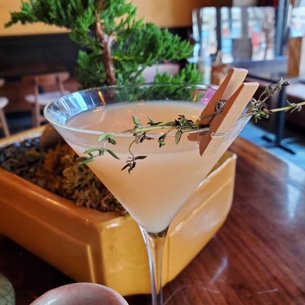A light-colored martini in a stemmed glass, garnished with herbs and a wooden clip, next to a bonsai.