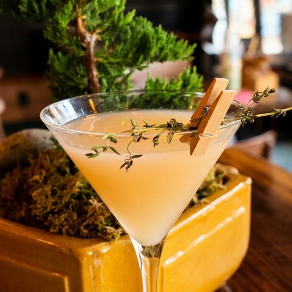 A martini glass with a light-colored drink, garnished with herbs and a wooden clip, next to a bonsai.