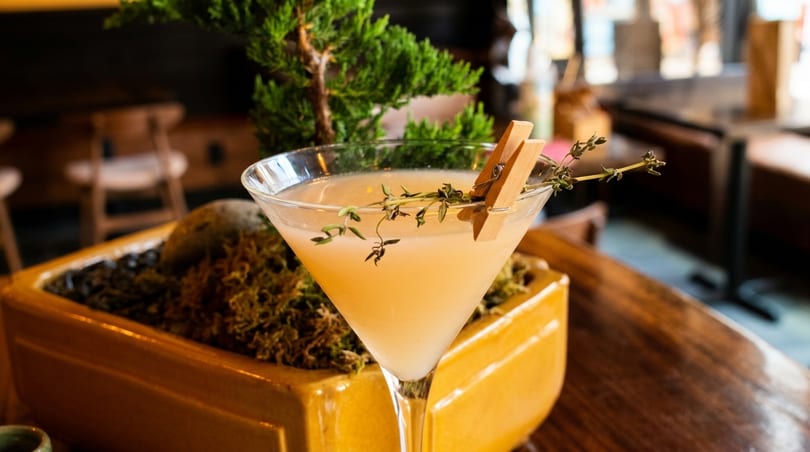 A martini glass with a light-colored drink, garnished with herbs and a wooden clip, next to a bonsai.